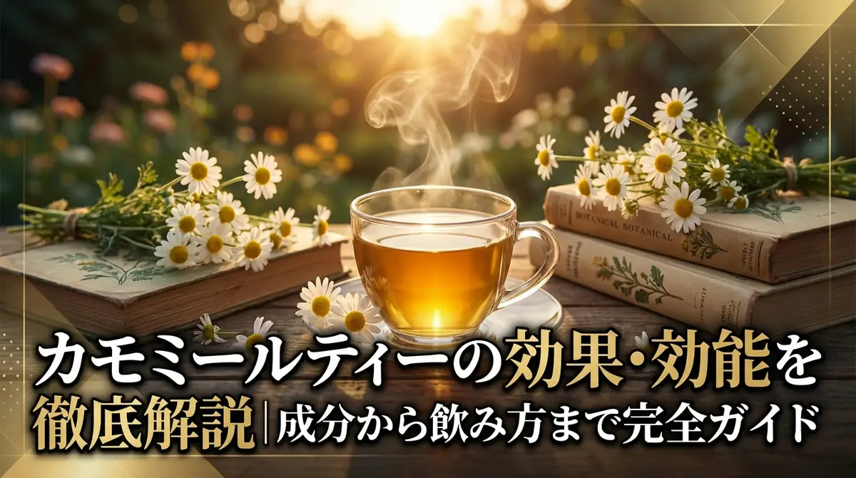 カモミールティーの効果・効能を徹底解説|成分から飲み方まで完全ガイド